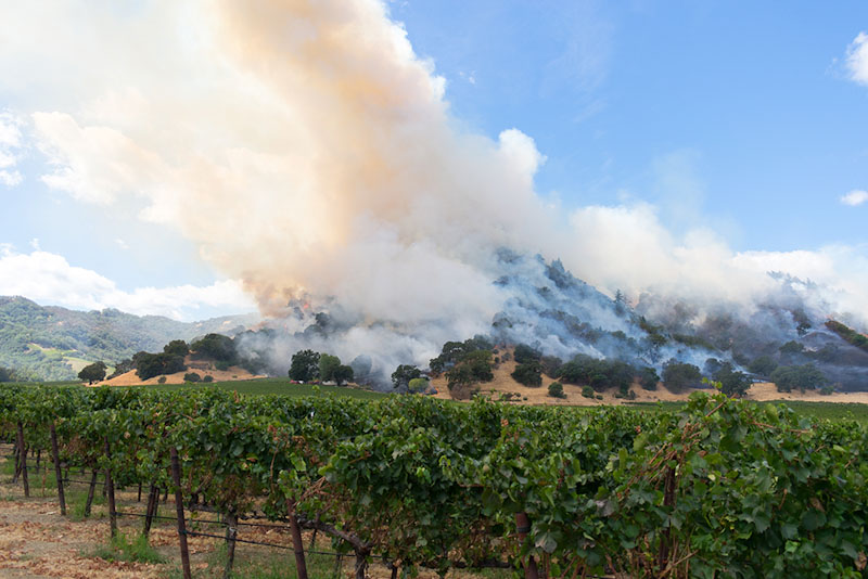 Northern California wildfire