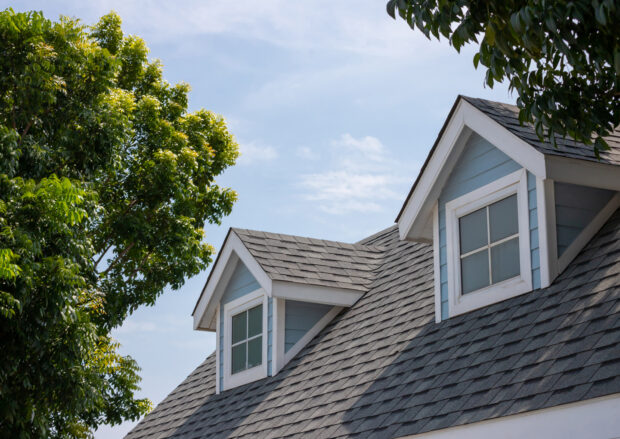 residential rooftop, a roof is one of the most crucial and costly attributes for appropriately evaluating a residential property