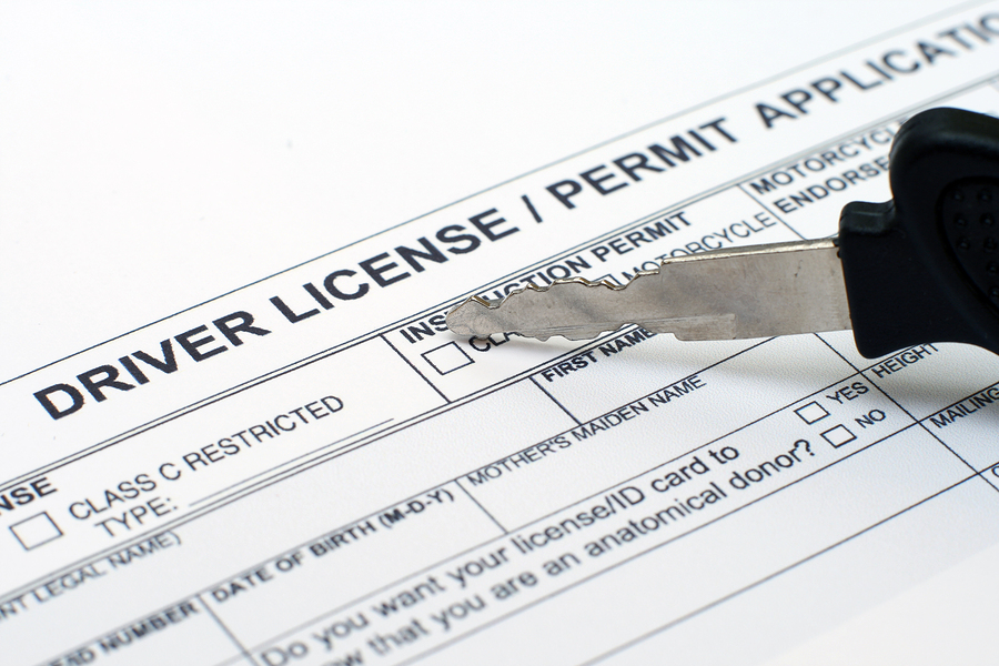 drivers permit california