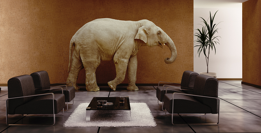 editor-letter-involuntary-turnover-and-other-elephants-in-the-room