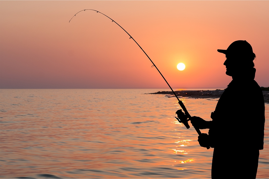 Doing fishing. Тихая рыбалка.