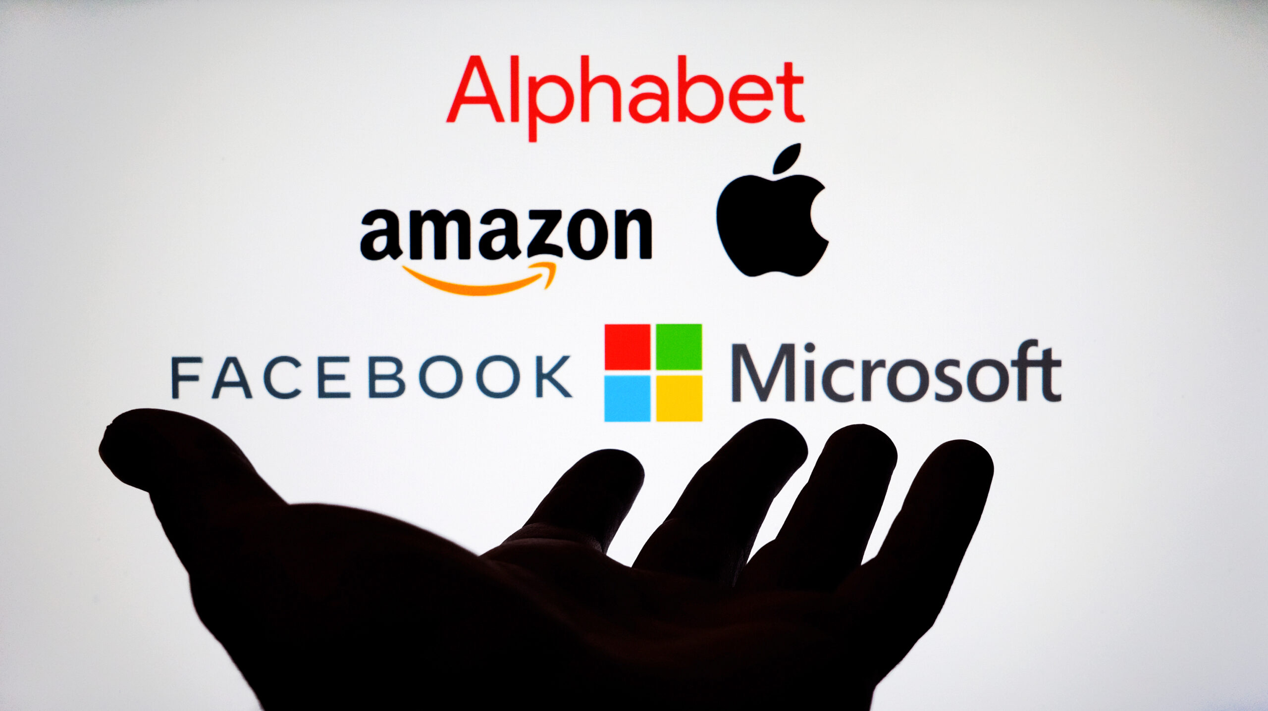 Big Tech Oligopoly At Harriet Carey Blog